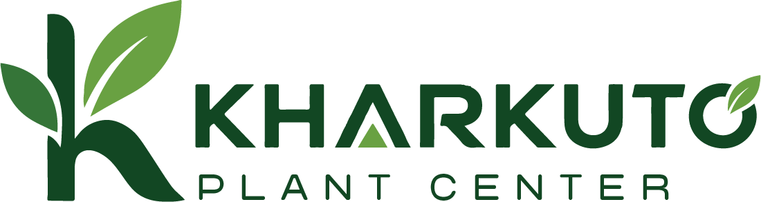 KHARKUTO Plant